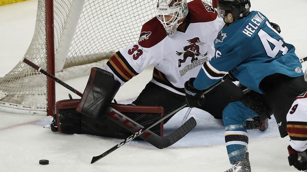 Roadrunners goalie Adin Hill has been towering figure in club's playoff run